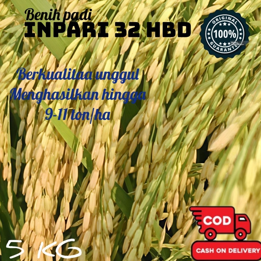 bibit/benih padi INPARI 32 HBD ORIGINAL Kemasan 5 kg