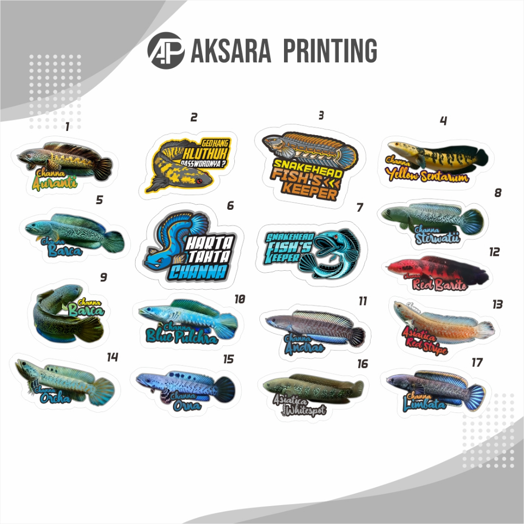 Sticker Stiker Aquarium Channa Snakehead (Terlengkap)