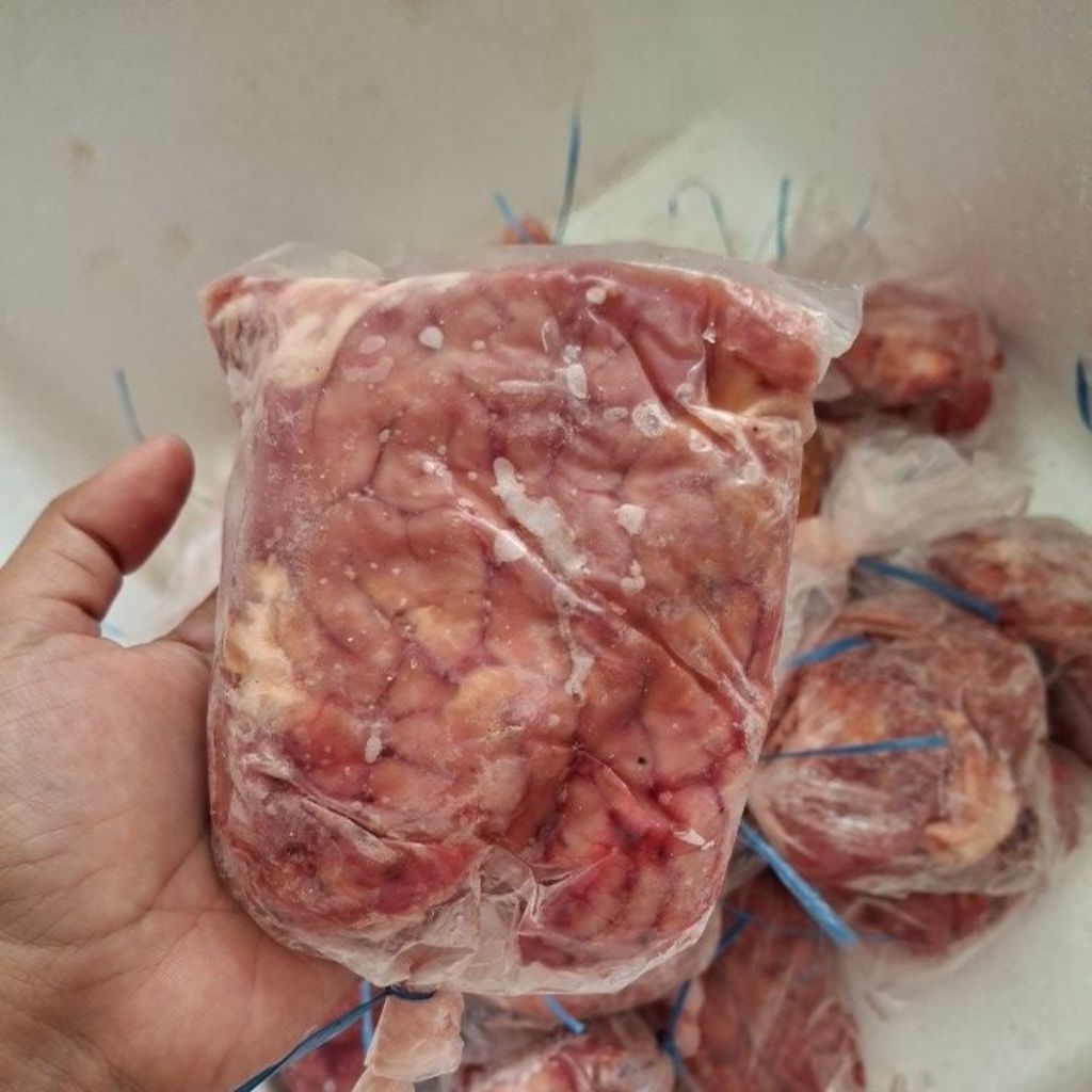 Otak Sapi Segar Fresh Siap Kirim