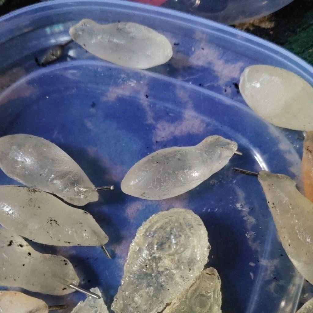 Molding soft frog manual