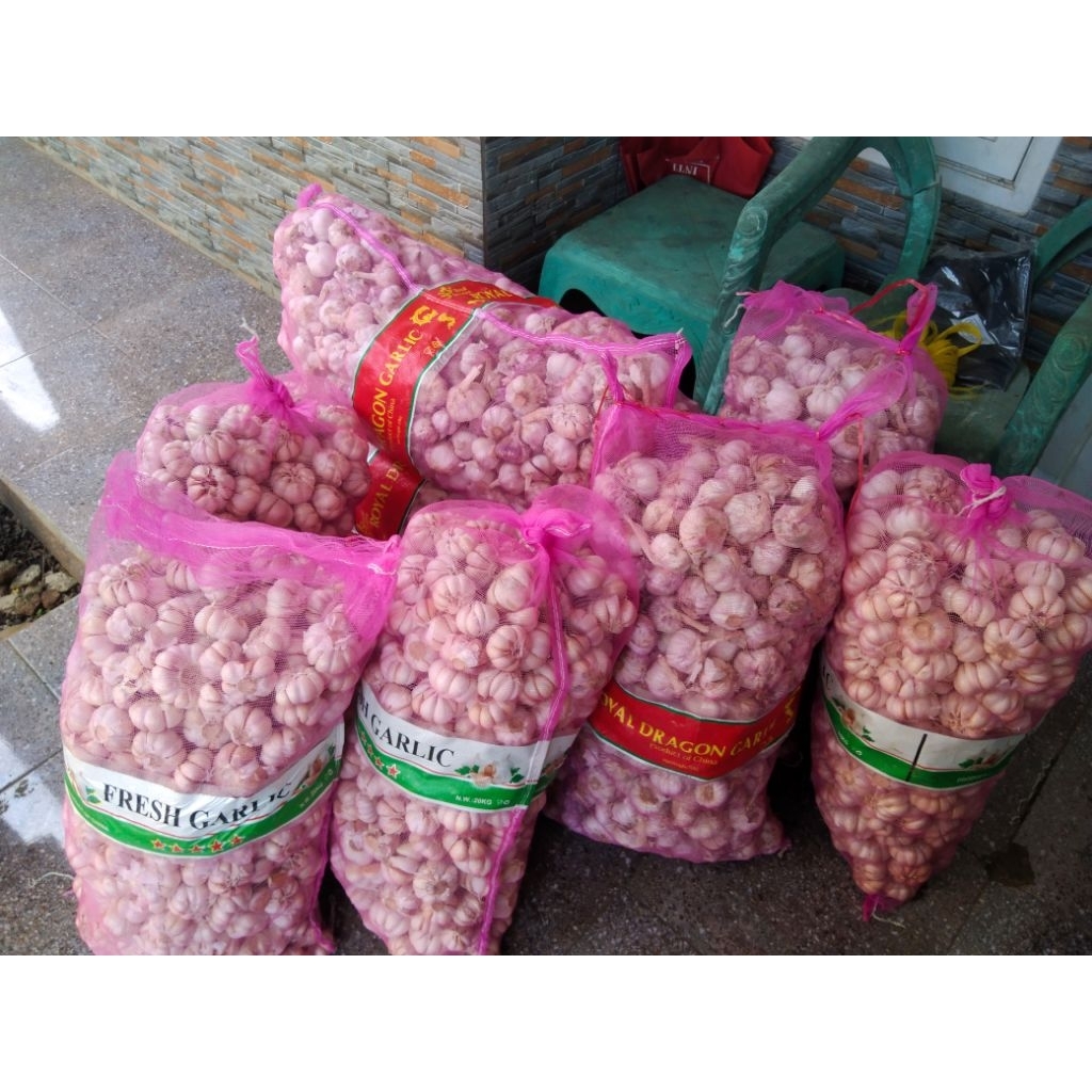 Bawang putih honan kotor karungan