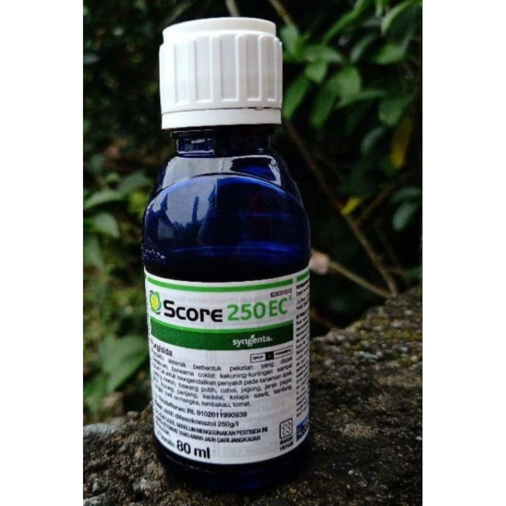 score 80ml