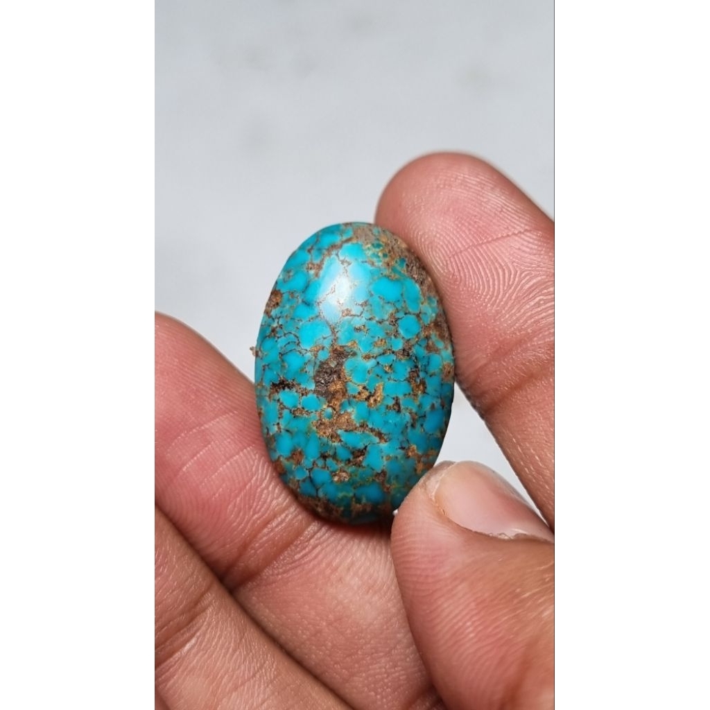 Natural pirus persia