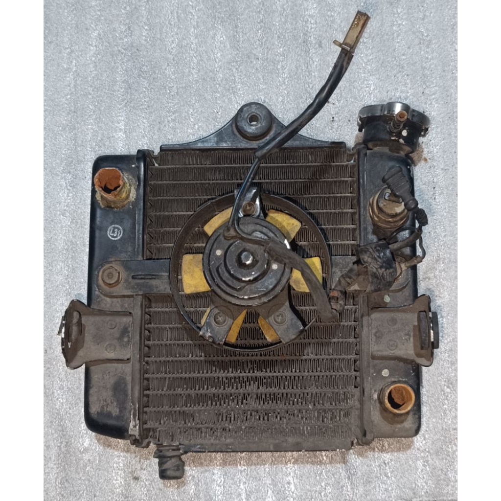 Radiator CS1 Copotan