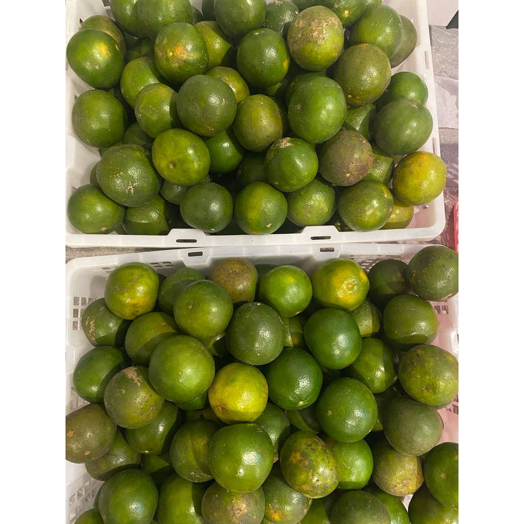 Jeruk Siam Peras Madu Fresh 1kg Manis, Banyak Air & Garansi Segar