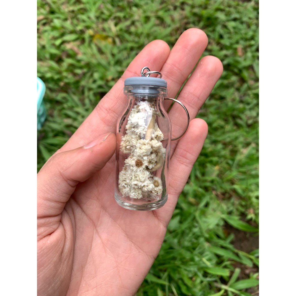 gantungan kunci botol kaca bunga edelweis