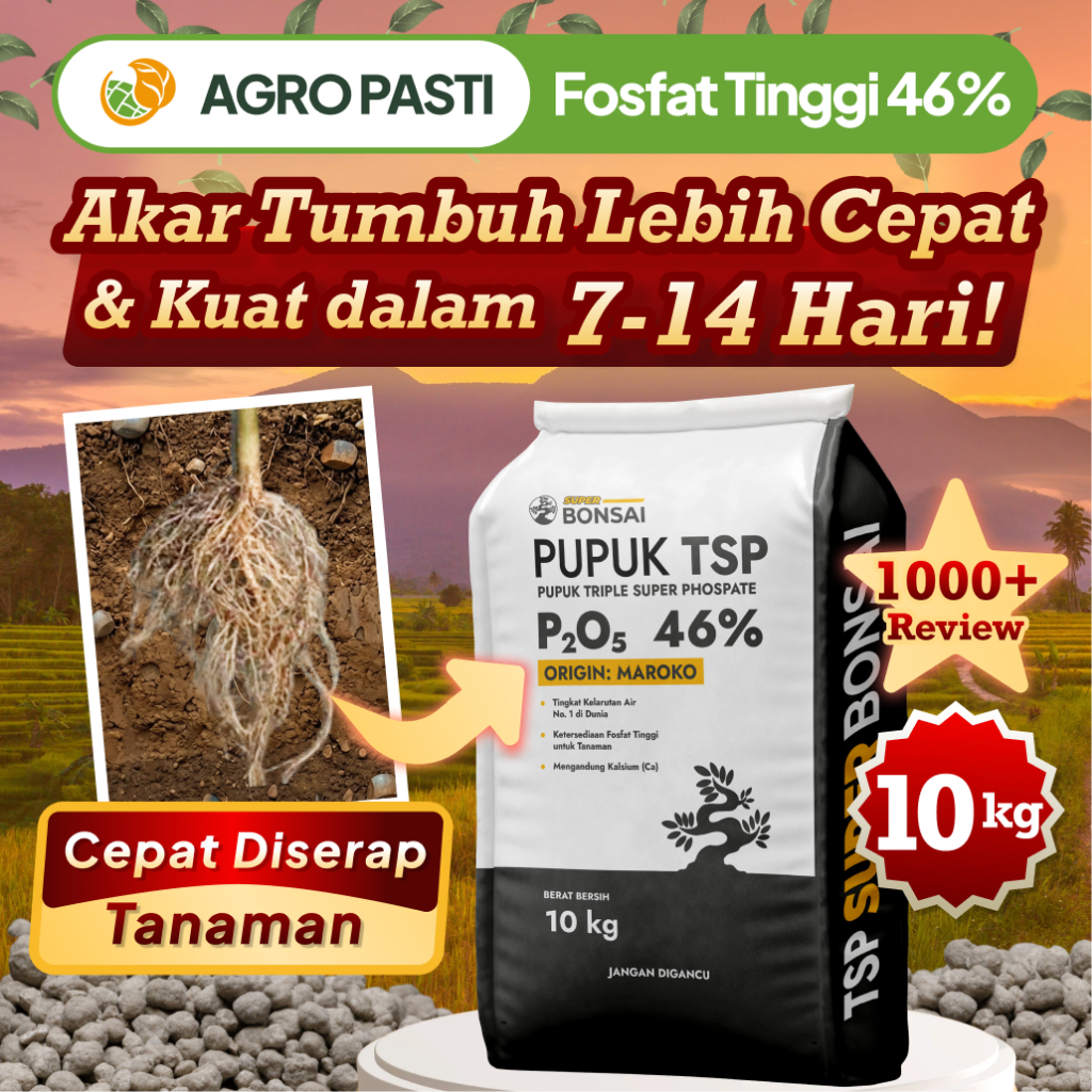 Pupuk TSP Fosfat Kalsium Bonsai 10kg – Pupuk Akar & Dasar untuk Pertumbuhan Optimal (Cabai, Padi, Ja