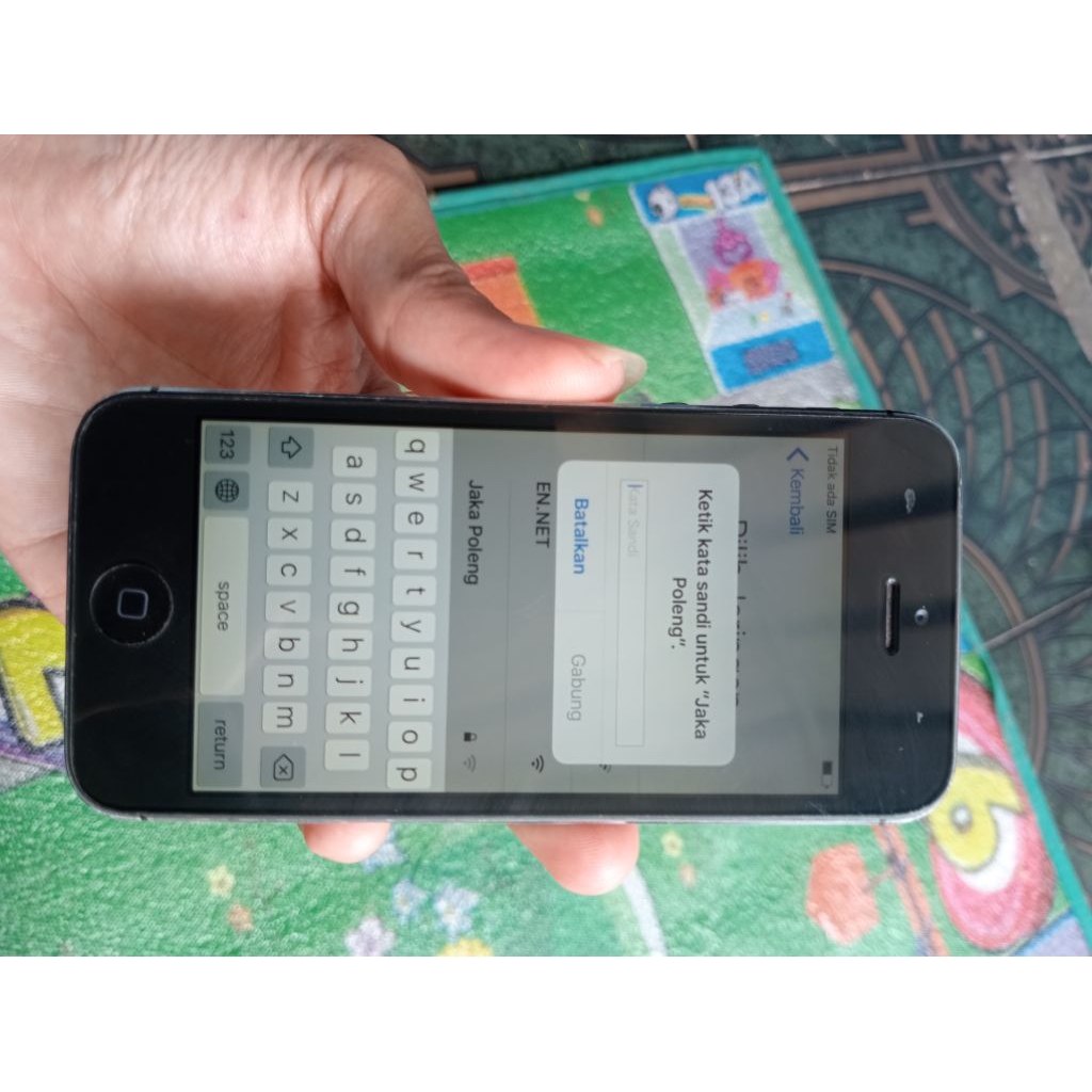iphone 5s lupa icloud