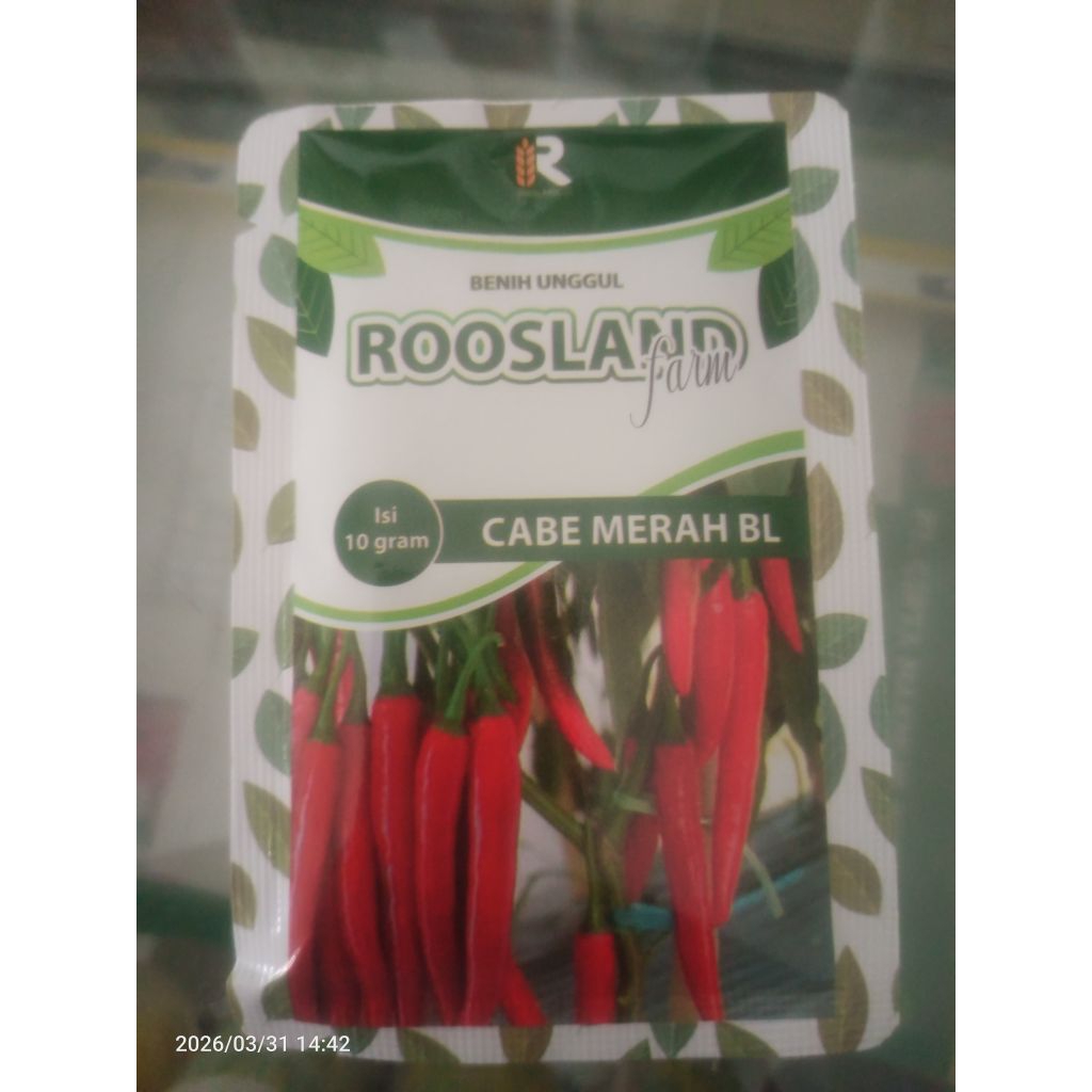 10 Gram Benih Cabe Keriting Unggul - Tahan Penyakit, Panjang, Merah Mengkilap