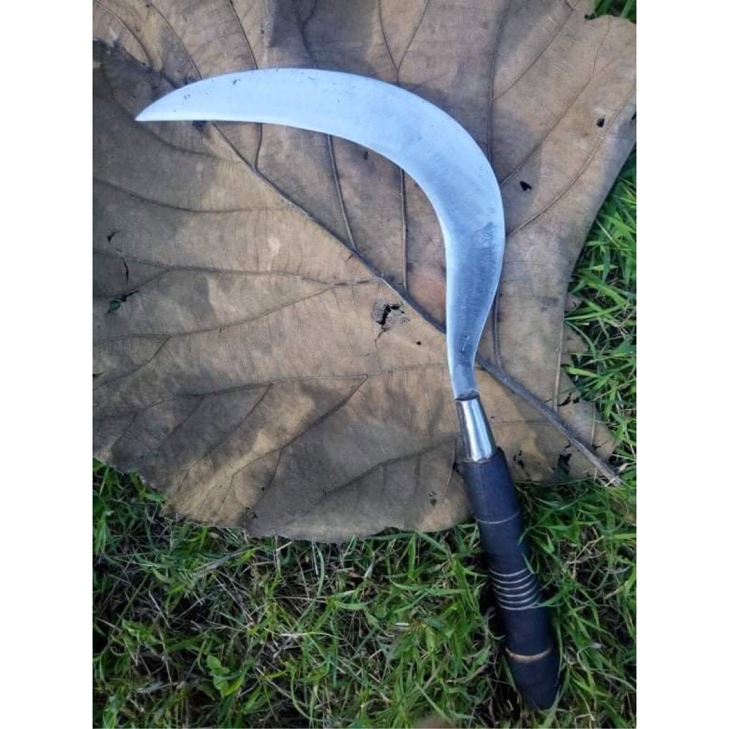 sabit padi cap z asli Madura