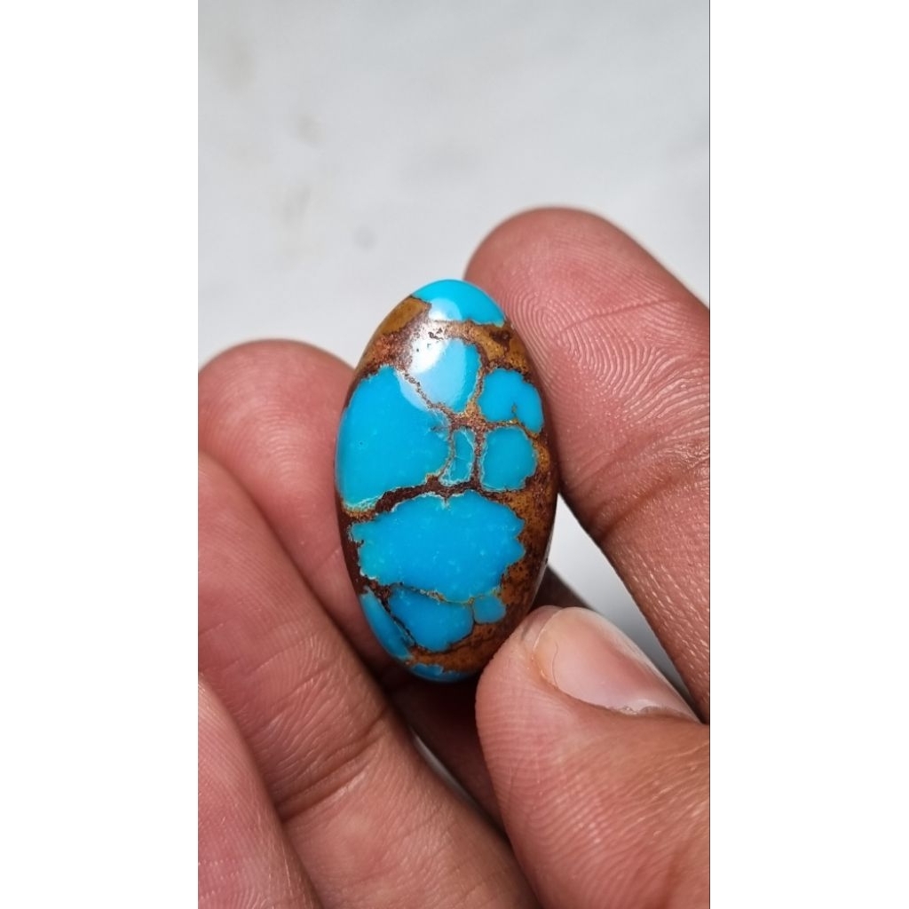 Natural pirus mesir