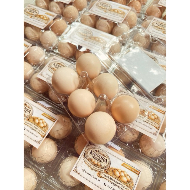 Telur Ayam Kampung Arab Segar, Tinggi Protein, Omega 3, Rasa Gurih