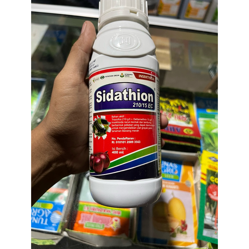 insektisida sidathion untuk hama lalat buah