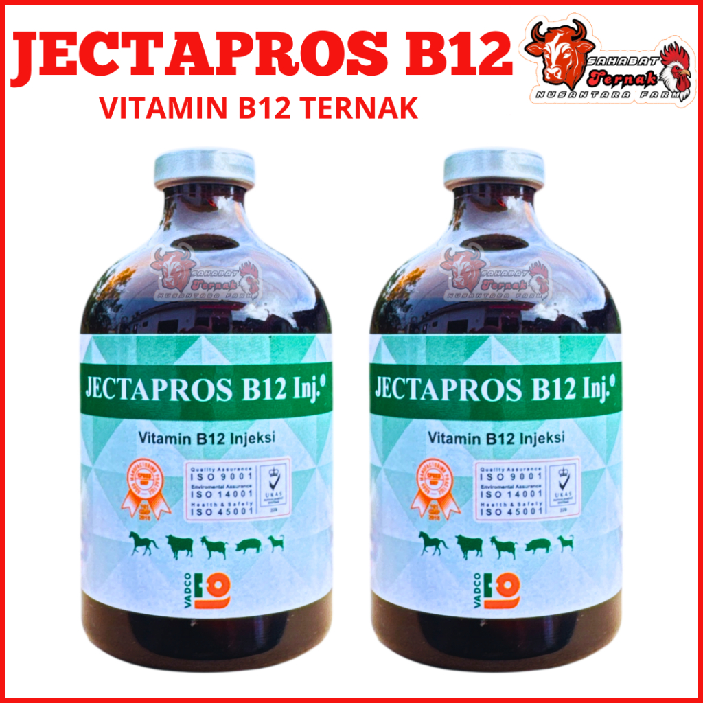 Vitamin B12 JECTAPROS B12 100ML - Vitamin B12 Injeksi Hewan Ternak Sapi Kambing Kuda Domba Babi vadc