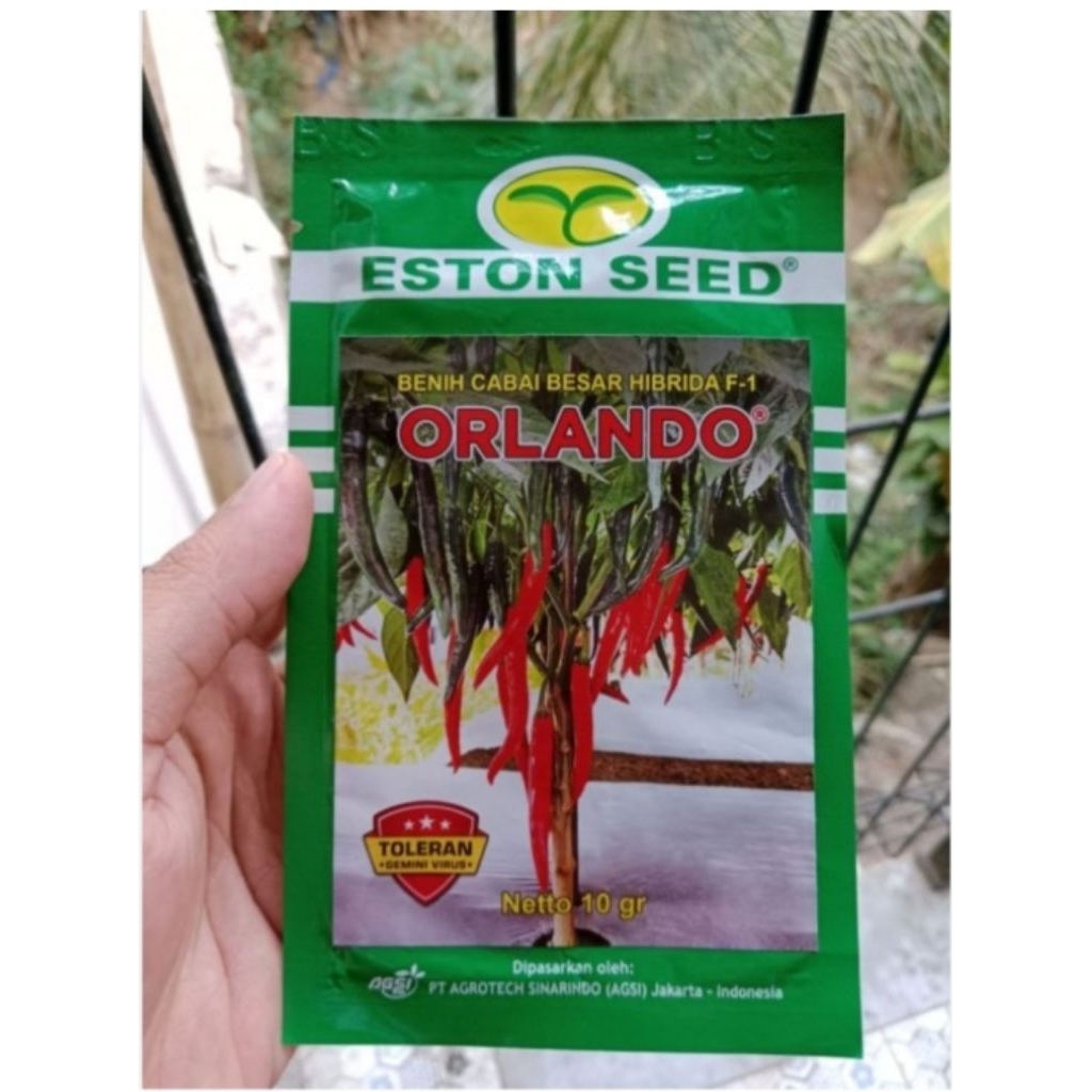 ORLANDO Benih Cabai Besar Hibrida F1- Kemasan Fabrik 10gram