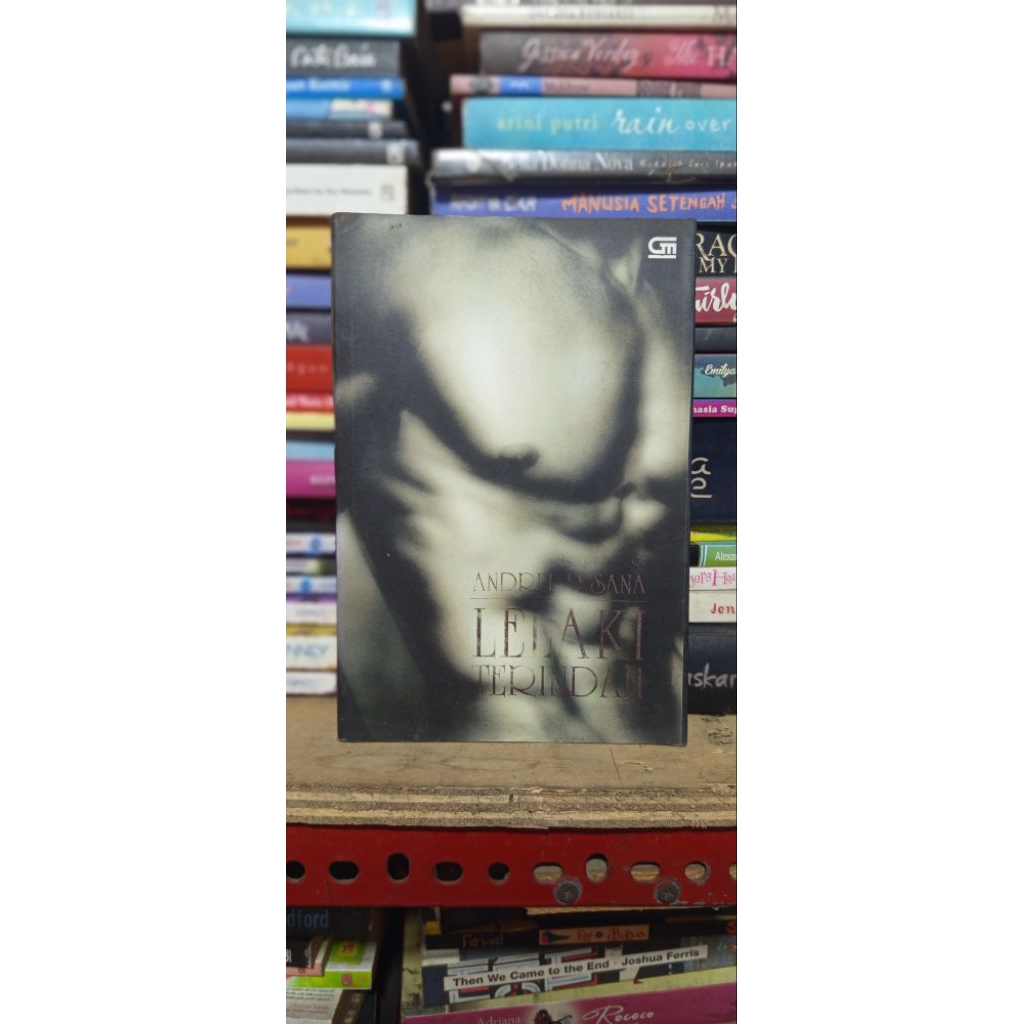 Lelaki Terindah - Andrei Aksana | Novel Sastra Kontemporer Indonesia (Book Nice & Nest)