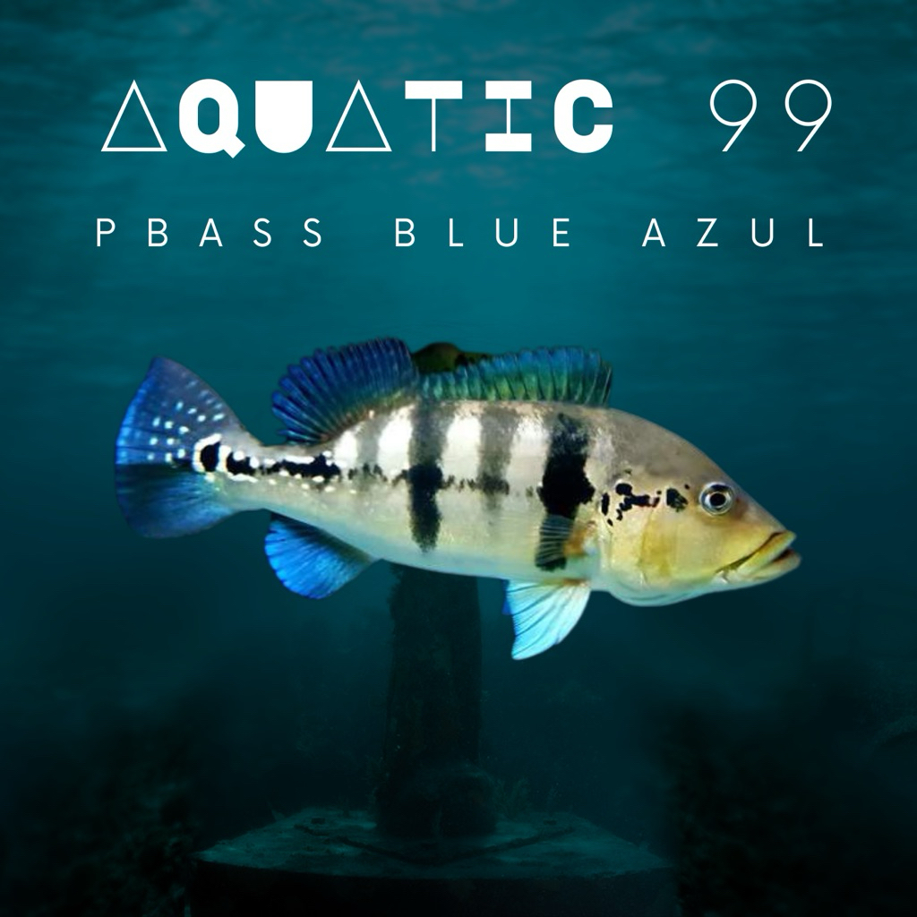 Pbass Blue Azul 8-9cm Full pelet