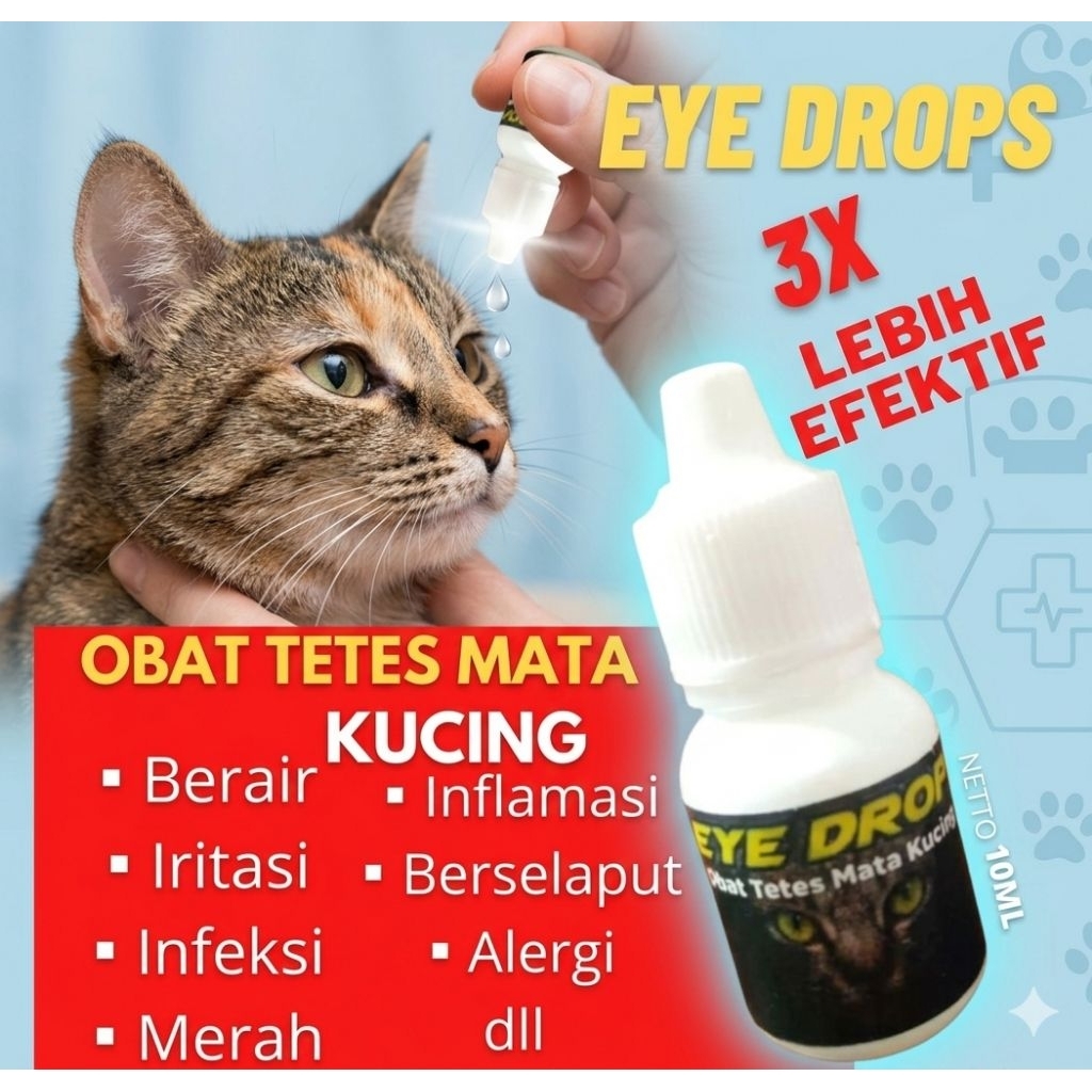 Tetes mata kucing eye drops tetes mata kucing berair infeksi virus