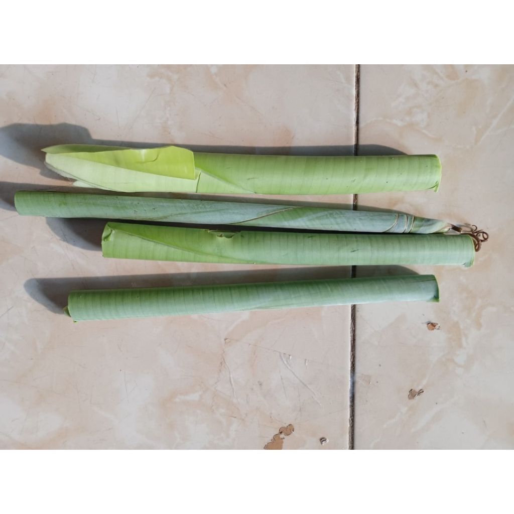 pucuk daun pisang batu