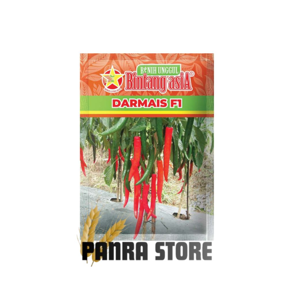 BENIH CABAI/CABE MERAH BESAR DARMAIS F1