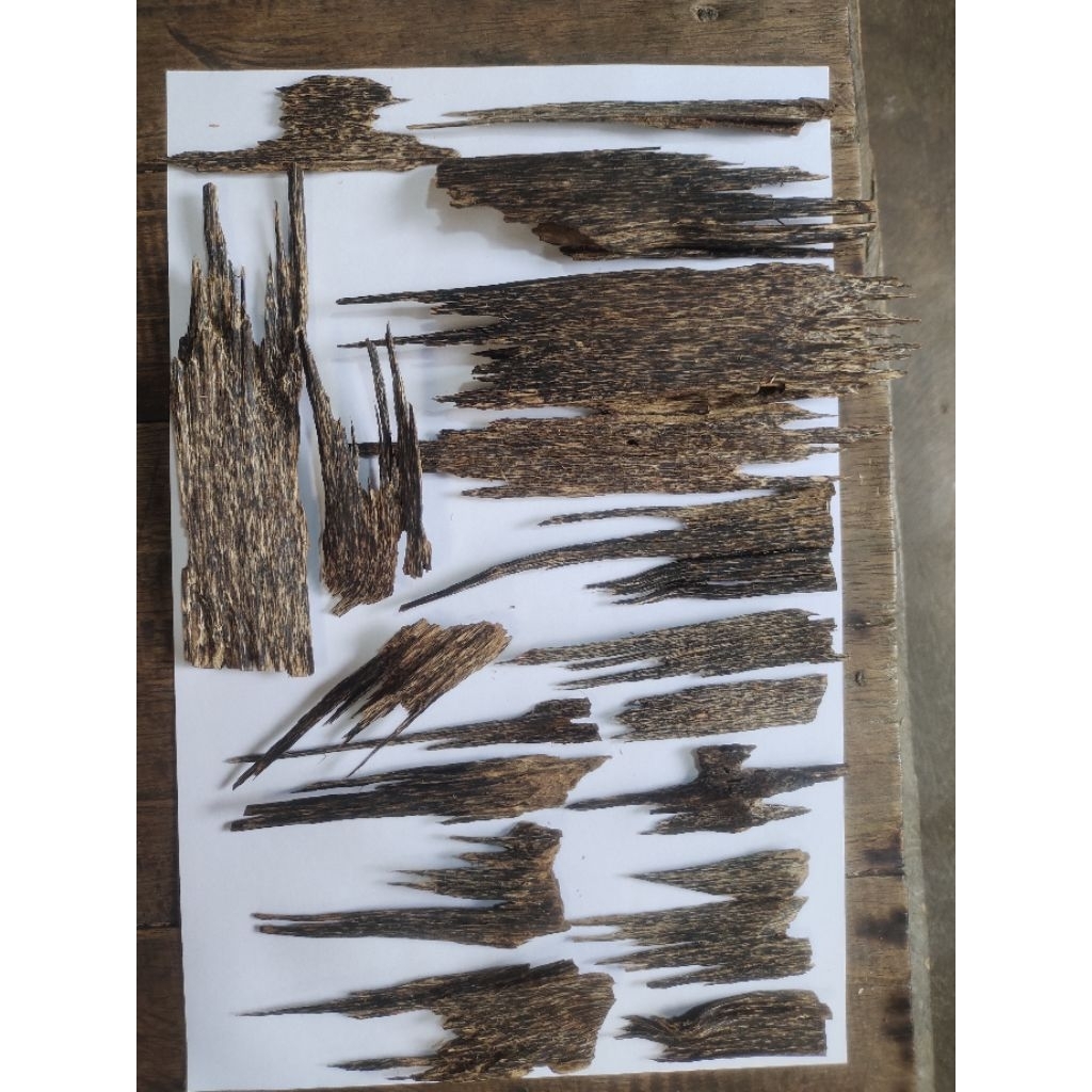 Gaharu(Agarwood)