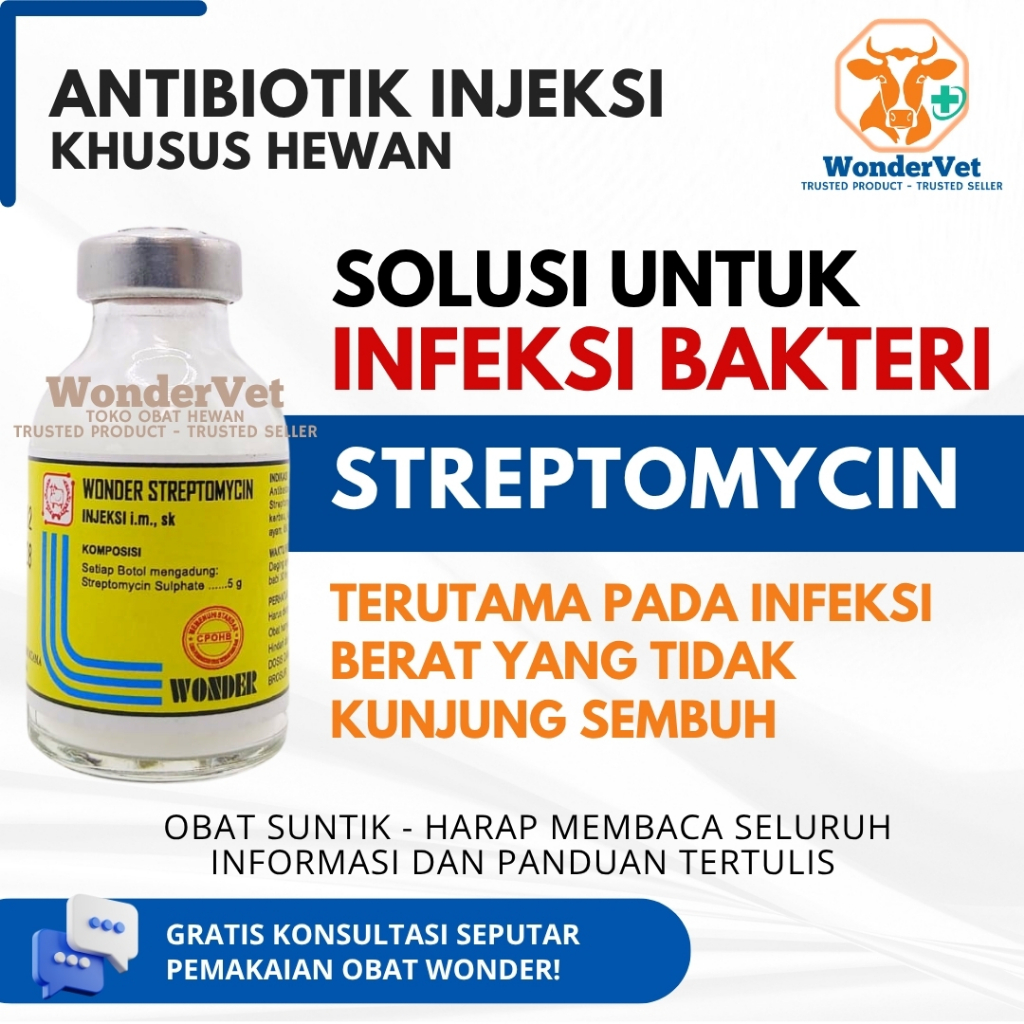 Streptomycin bubuk - antibiotik injeksi untuk infeksi berat hewan
