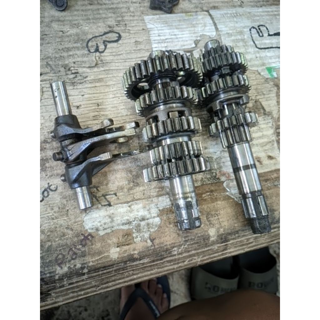 rasio megapro primus ori