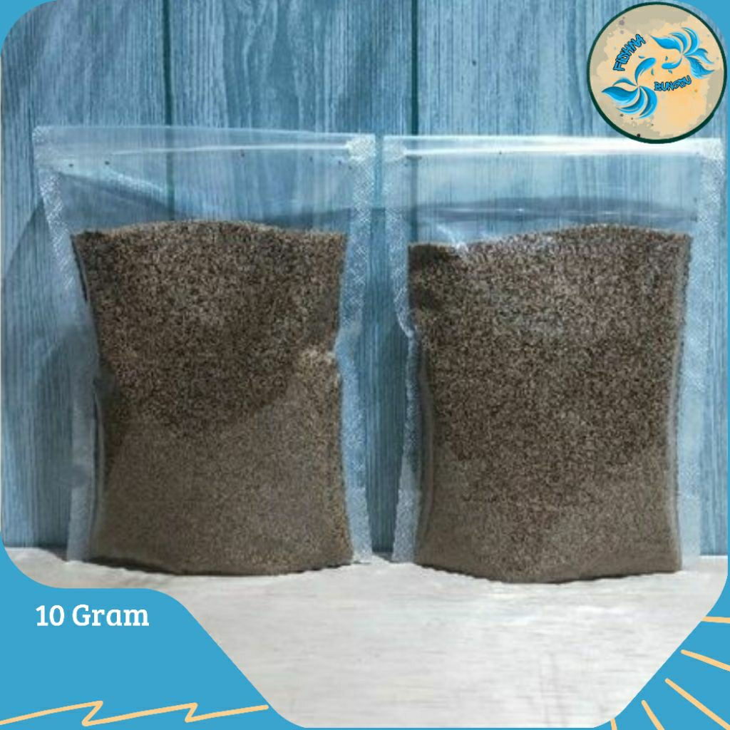 MS Preo PF500 Pakan Pelet Bibit Ikan Hias Cupang Protein 45% Serat 45%
