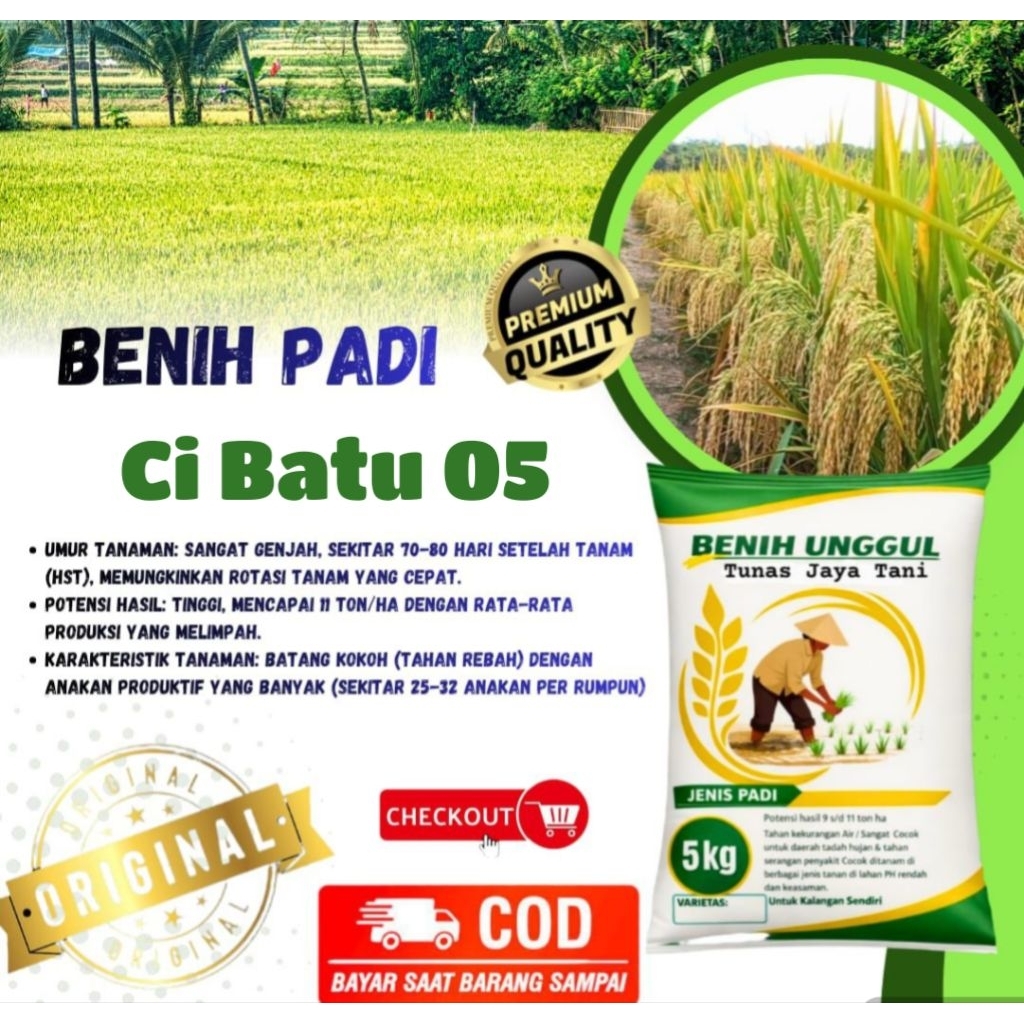 Benih padi cibatu 05 ORIGINAL