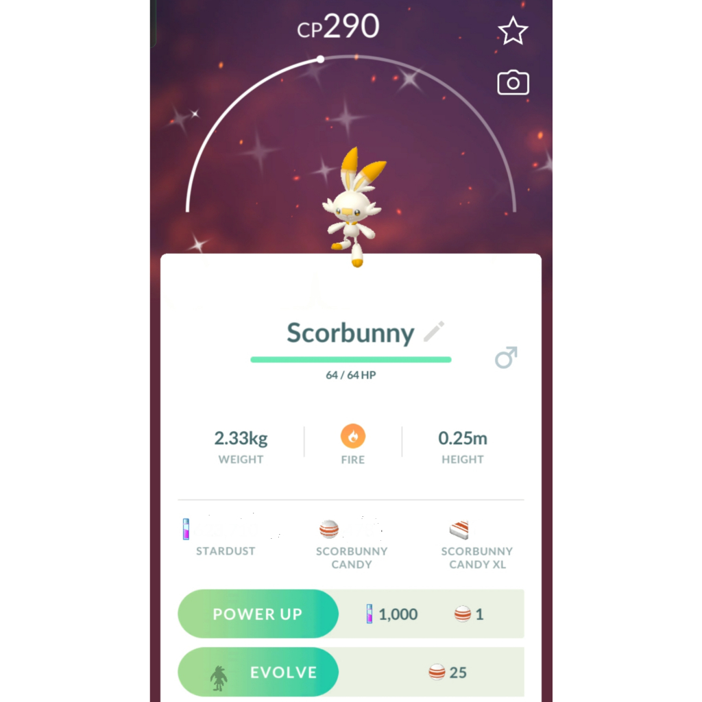POKEMON GO - SCORBUNNY SHINY