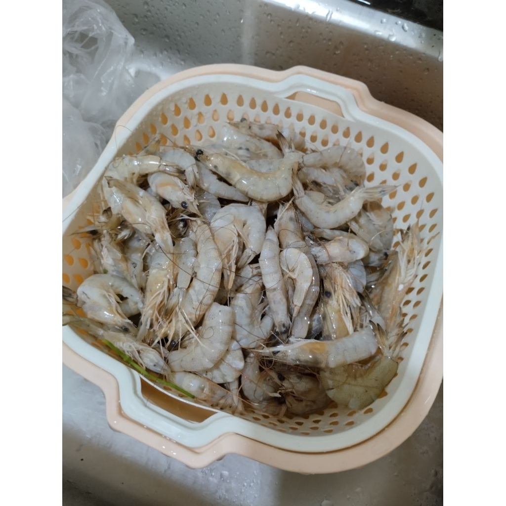Udang Segar Ukuran sedang-besar 1kg