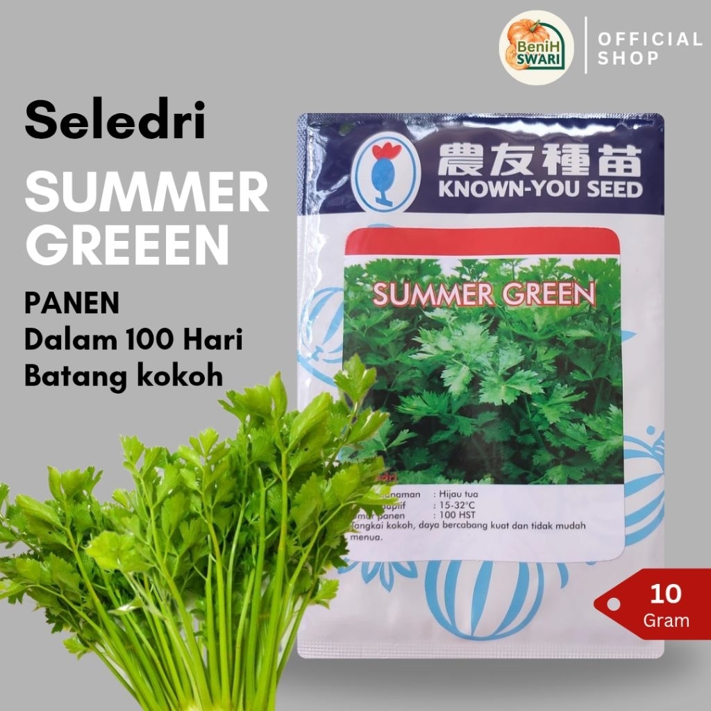 10 gr Benih Seledri SUMMER GREEN - Original Pack