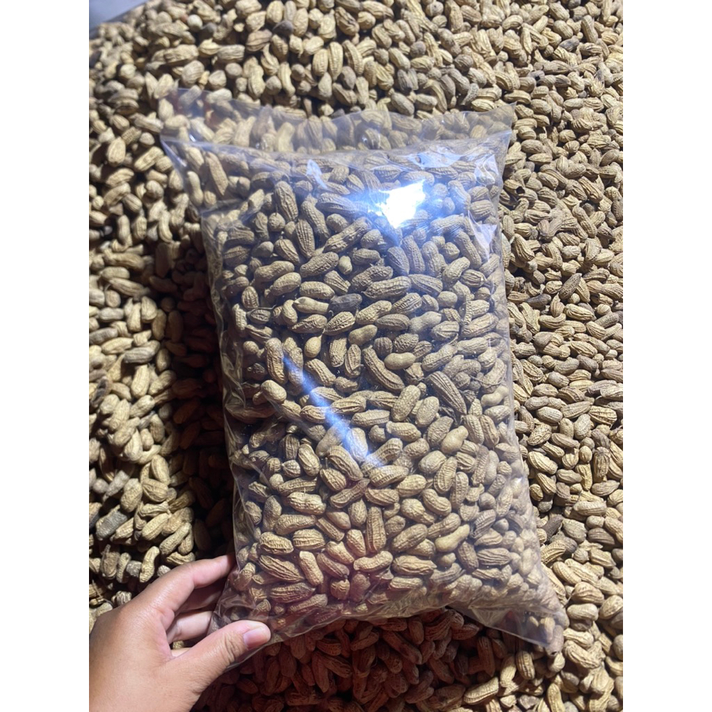 KACANG KULIT GORENG SANGRAI