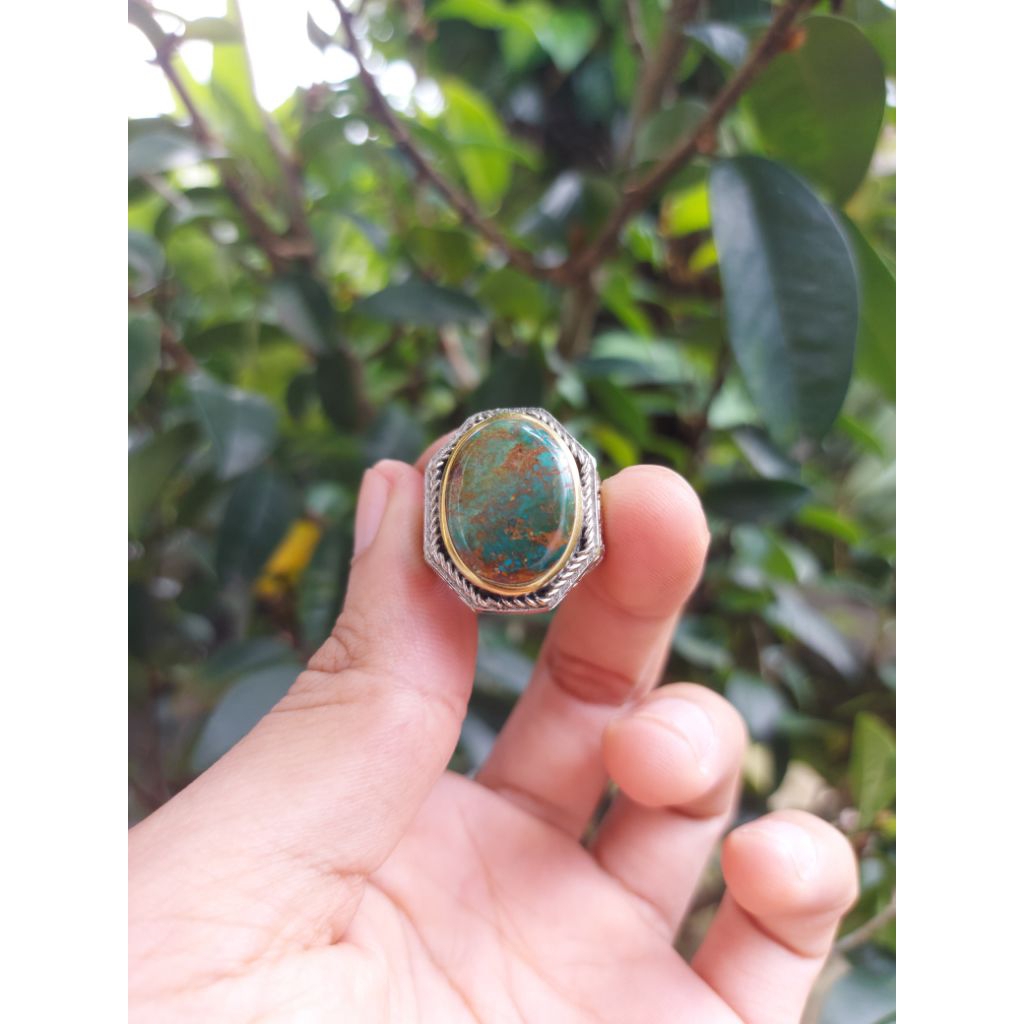 Pirus Persia Ijo Kedondong