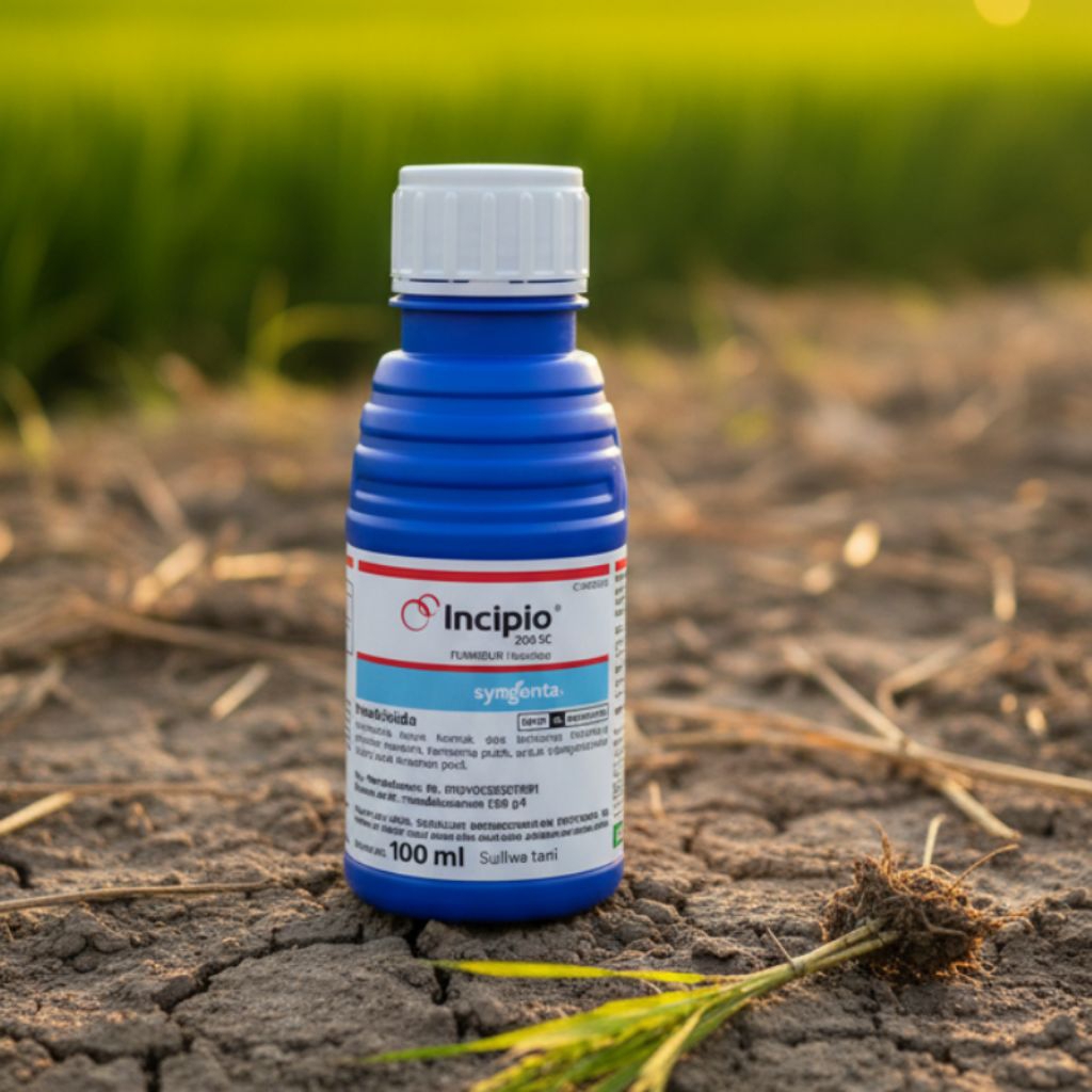 Incipio 100 ml SC Insektisida Sistemik Pengendali (SUNDEP) Hama Ulat & Wereng Bandel