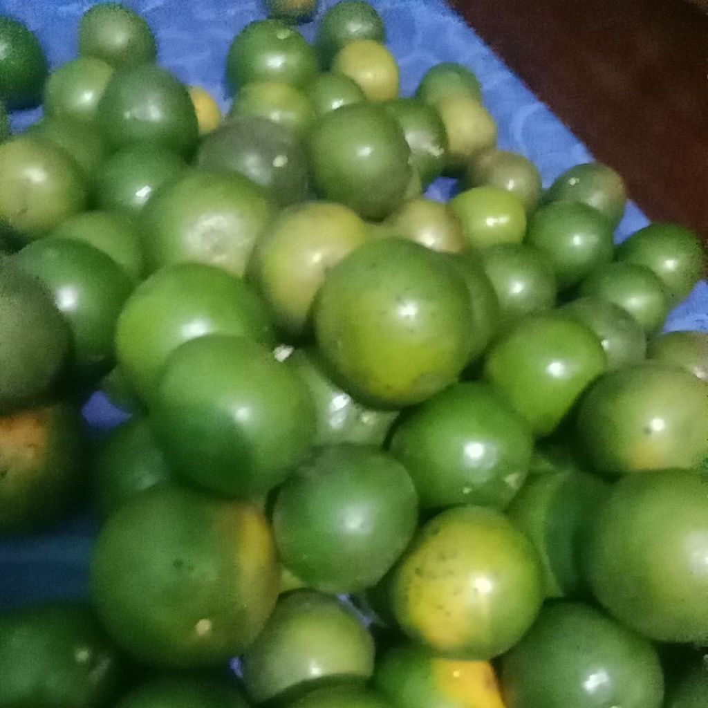 Jeruk Peras Asli Jember 1kg