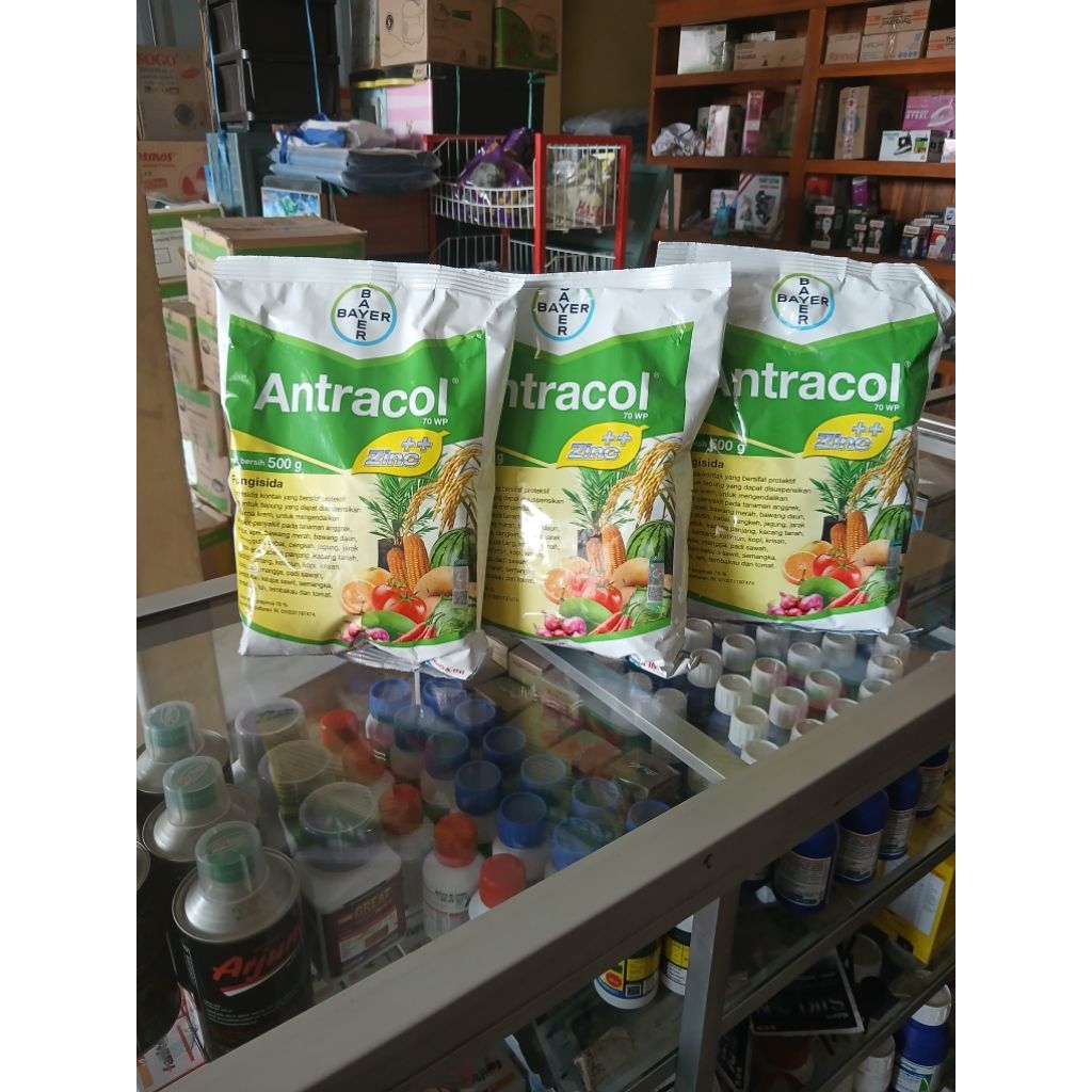 ANTRACOL 70wp  500gram