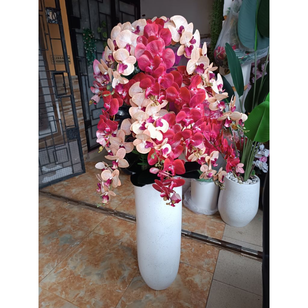 Bunga Anggrek sudut
