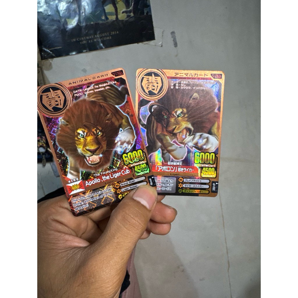 Kartu Animal Kaiser, Apollo the Liger Cub, Animal Card 100, Ver evo 1 & Japan, Ori Namco