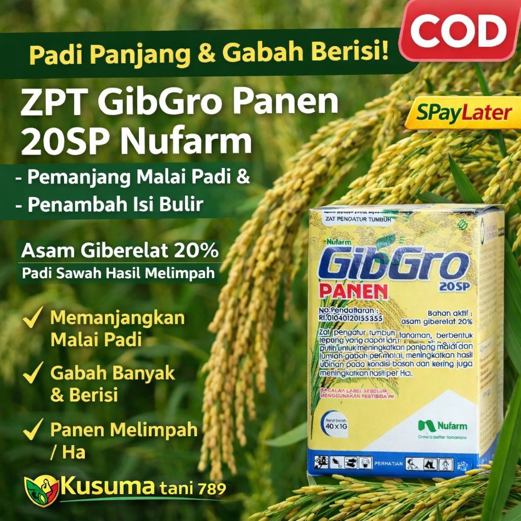 ZPT GibGro Panen 20SP 1 g isi 40 pcs Nufarm – Pemanjang Malai Padi & Penambah Isi Bulir – Asam Giber