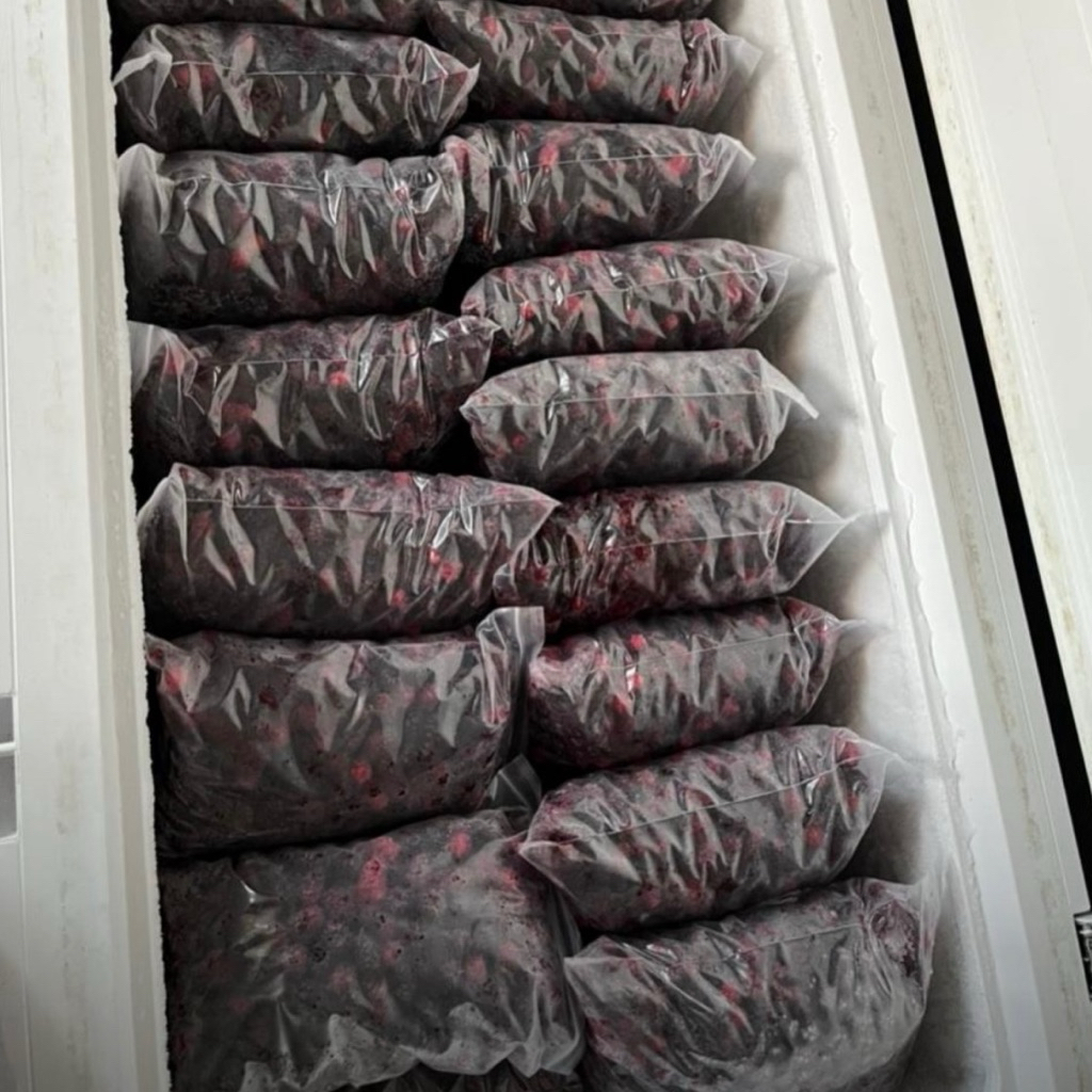 Mulberry/Murbei Frozen 1kg Murbei Beku