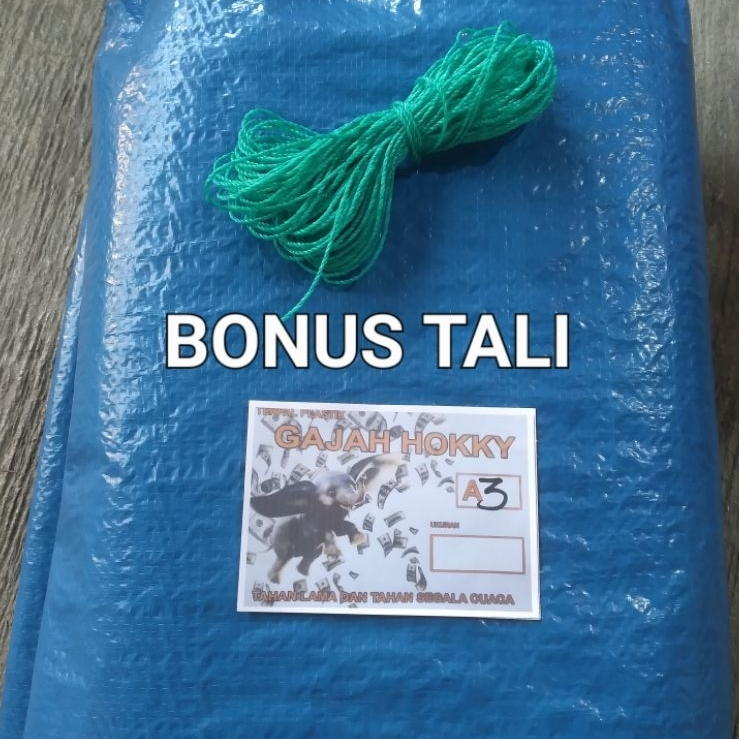 Terpal Tenda 2x4 A3 Terpal Jemur Padi Terpal Serbaguna