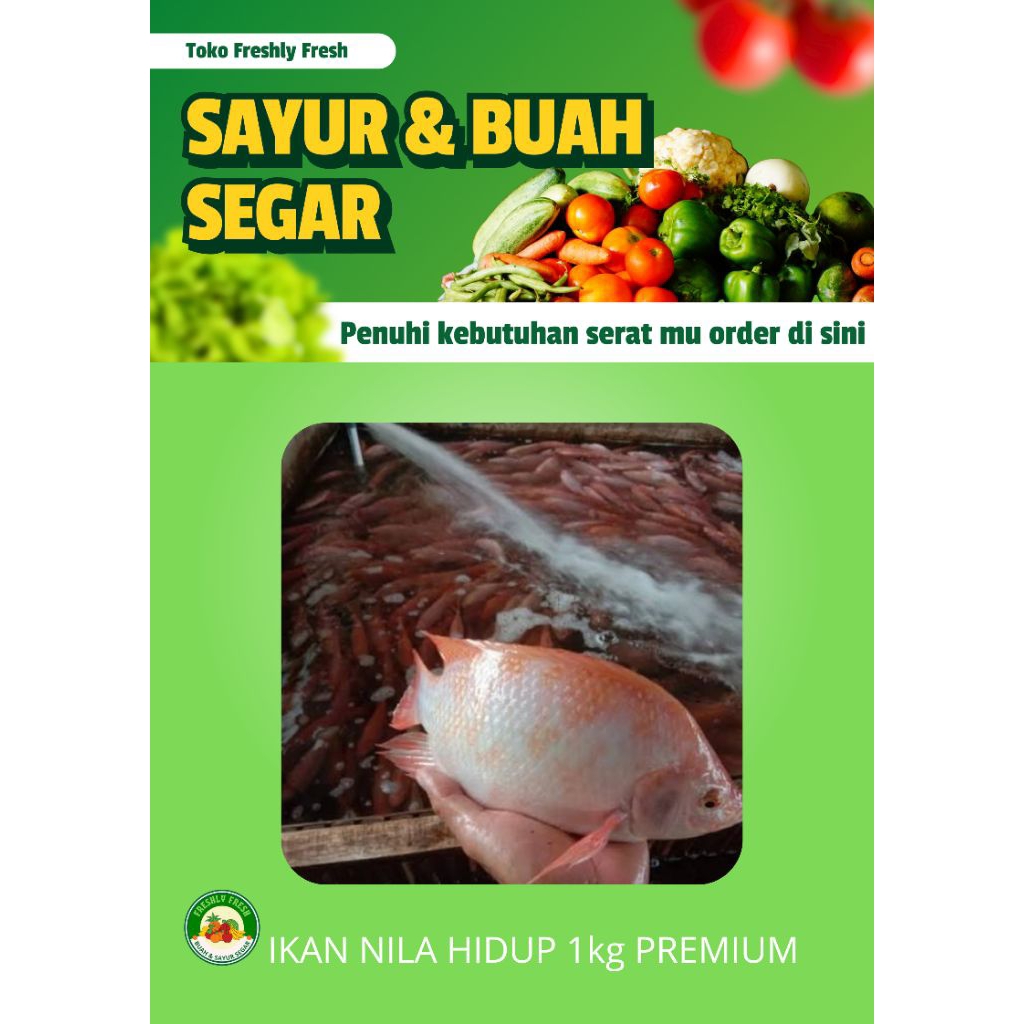 IKAN NILA SEGAR HIDUP 1KG PREMIUM