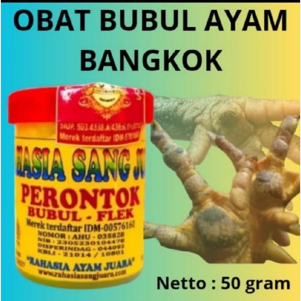 OBAT BUBUL AYAM BANGKOK ADUAN AMPUH