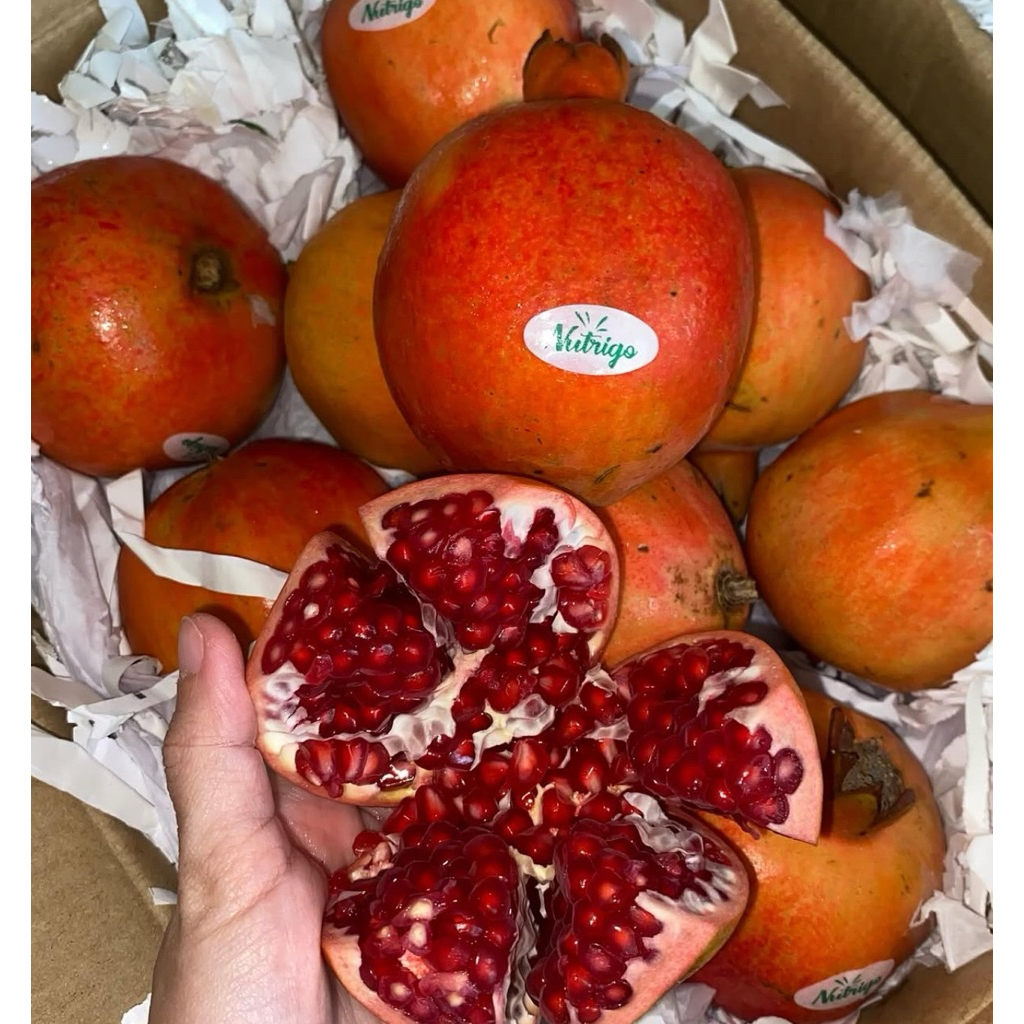 Buah Delima India Manis Fresh 1kg / Buah Delima India Manis
