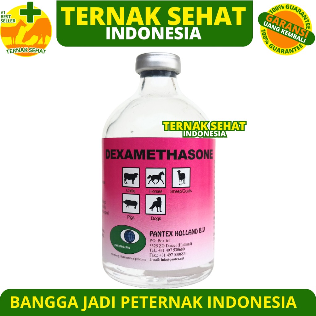 PANTEX DEXAMETHASONE 100 ML - Obat Hewan Anti Radang Anti Inflamasi Ternak Sapi Kambing Anjing