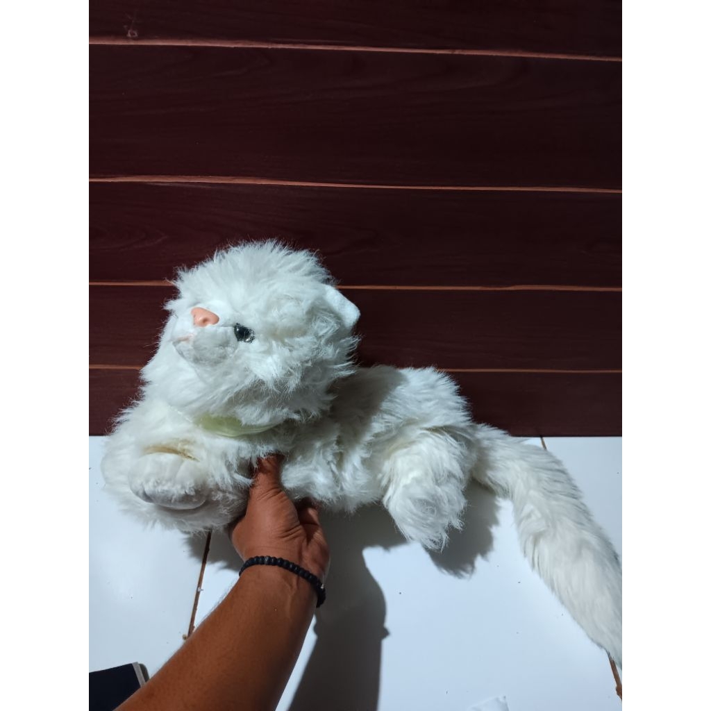 boneka kucing putih lucu imut