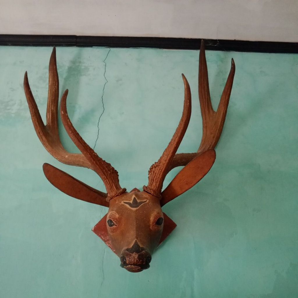 kepala tanduk rusa asli original
