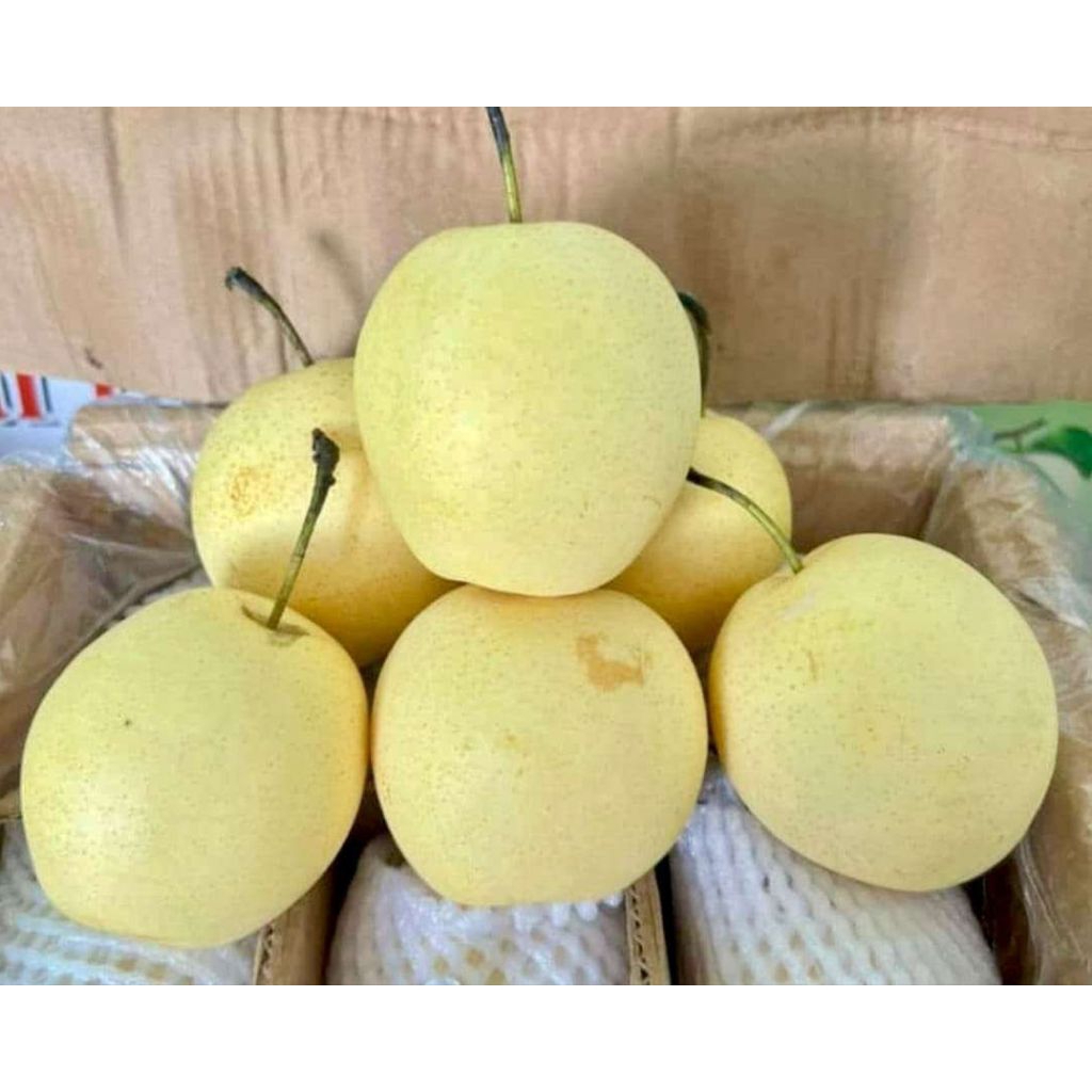 BUAH PEAR / PIR  (±)1KG