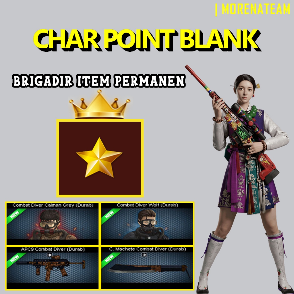 CHAR POINTBLANK / CHAR PB - BRGADIR APC9 COMBAT DRIVER | DATA POLOS | AKUN POINTBLANK | GAME PC